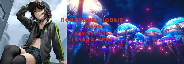 мдпв Волоколамск