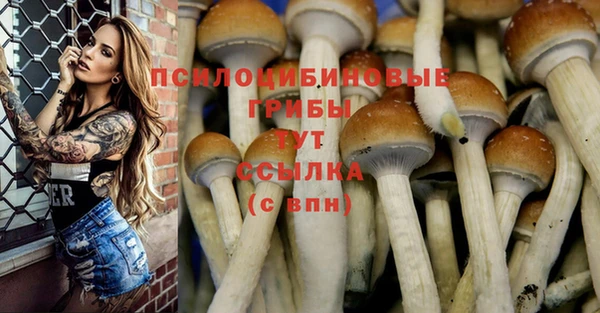 мдпв Волоколамск