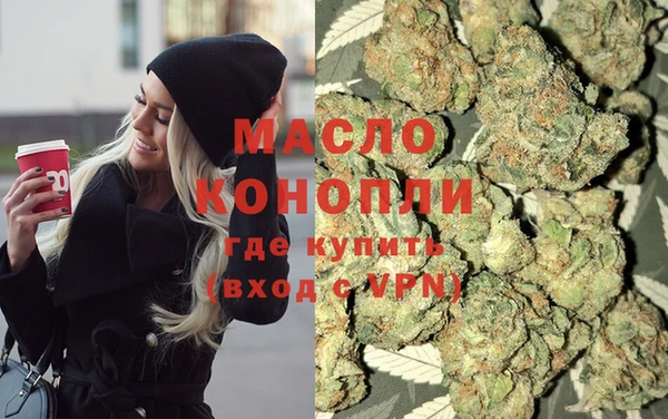 дмт Володарск
