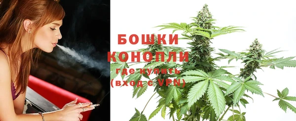 мдпв Волоколамск