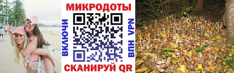 Галлюциногенные грибы GOLDEN TEACHER Ахтырский